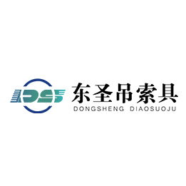 DHS環(huán)鏈電動葫蘆河北東圣吊索具制造有限公司